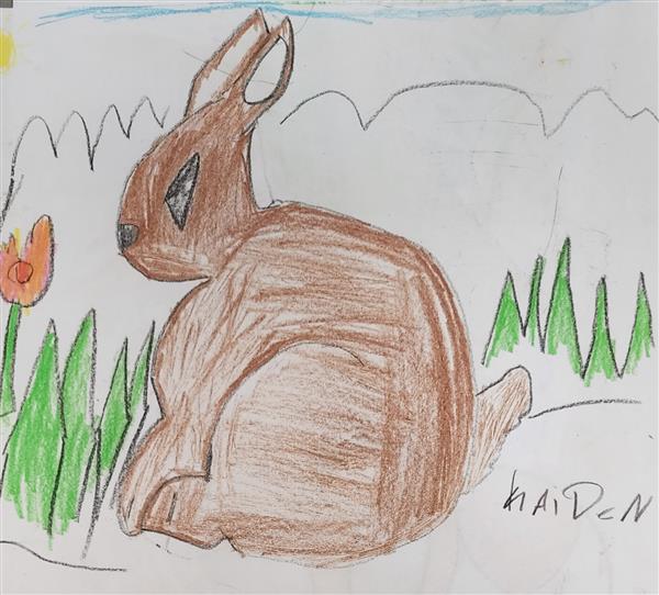 Foraging bunny by Kaiden Payne-4th grade